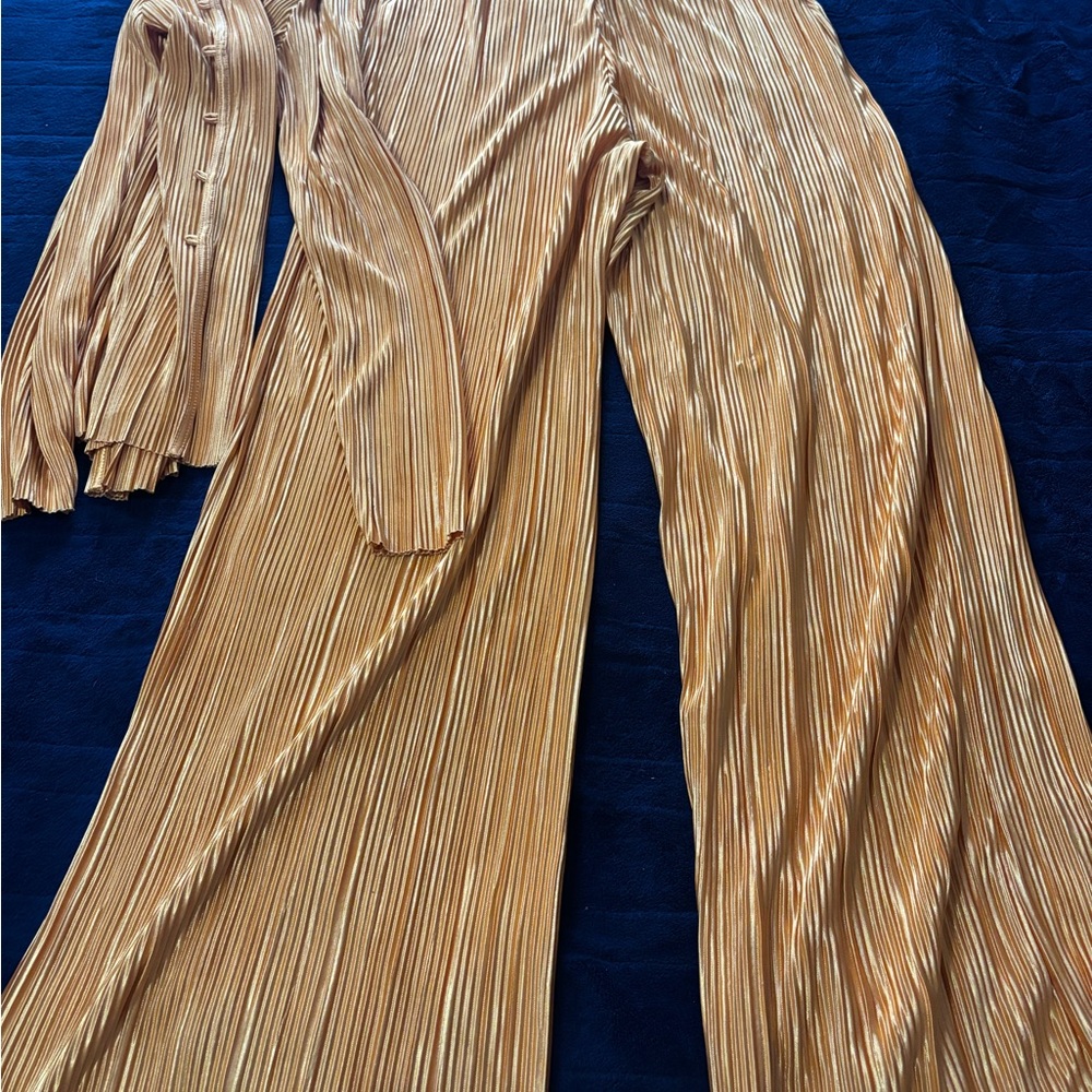 Elegant Gold Pleated 2 piece set